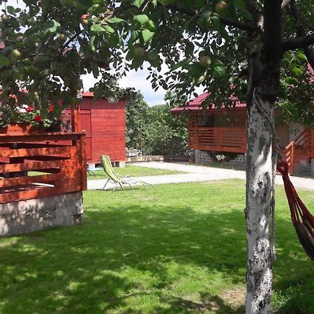 Casa Anamaria Βίλα Τούρντα Εξωτερικό φωτογραφία